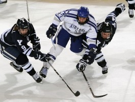 ayx游戏app官方免费版