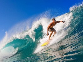 完美电竞app官网