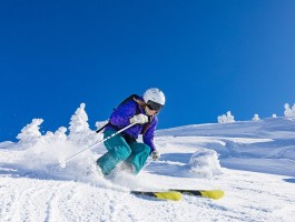 关于ayc官网的信息