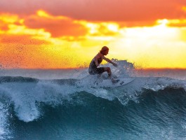 贵州伟德招聘官网首页