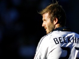 包含365电子游戏中国有限公司的词条